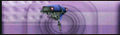 Thumbnail for version as of 11:44, 7 May 2009